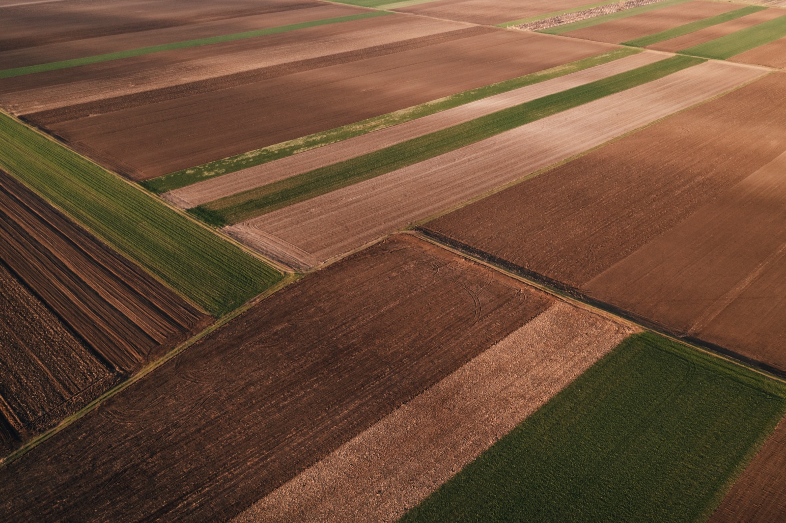 Aerial view of cultivated farmland